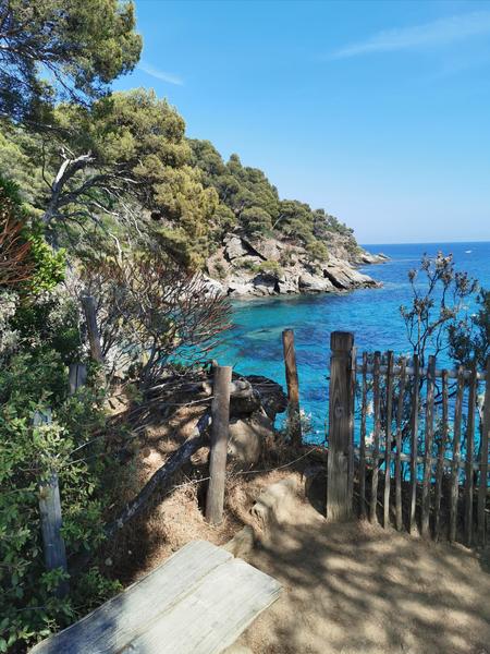 La pointe du Figuier