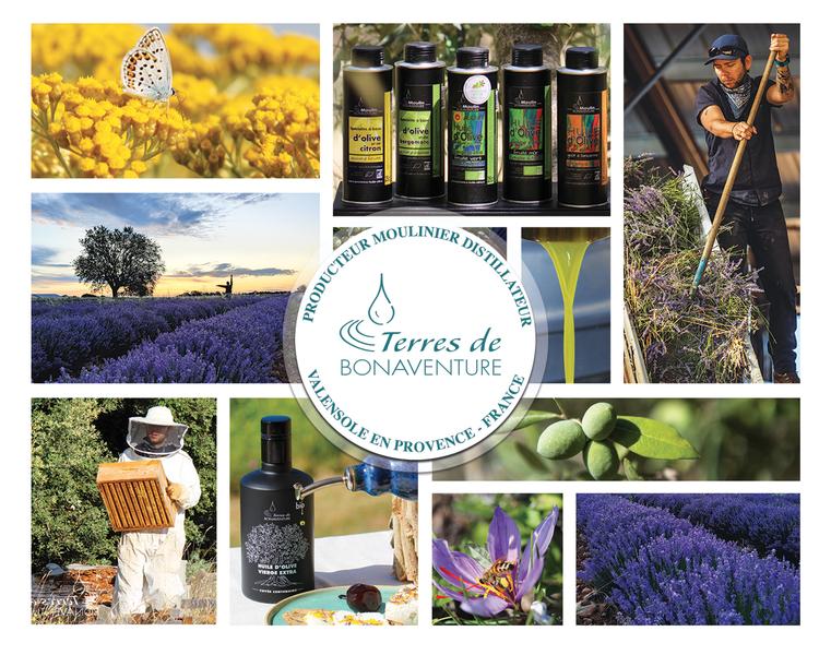 Visite guidée de la distillation thym-immortelle-lavandin et lavande