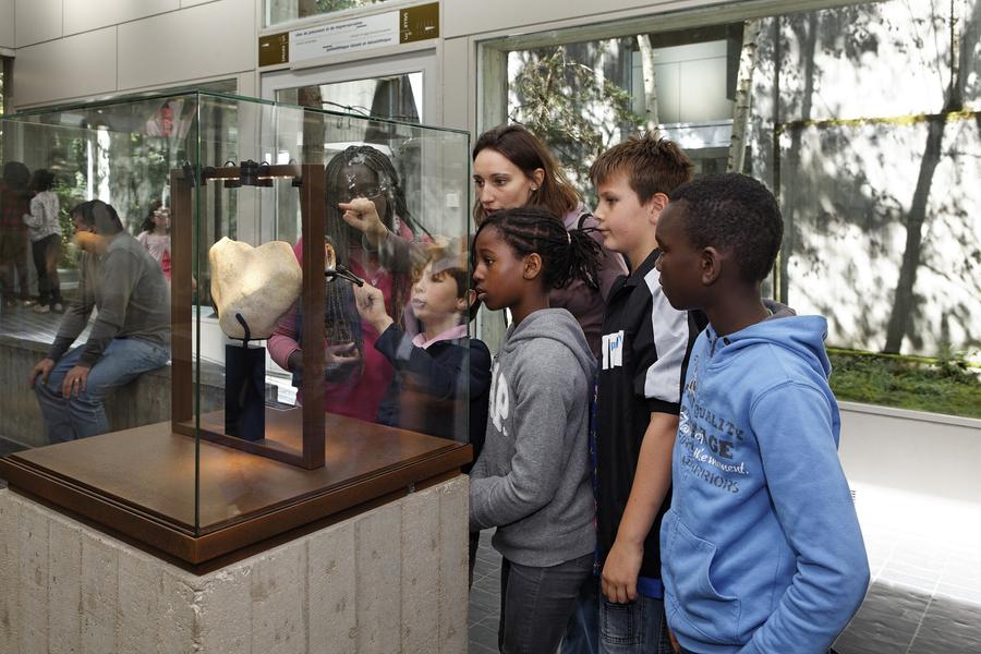 Visite scolaires - Musée départemental de Préhistoire d'Île-de-France