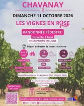 Les vignes en rose_Chavanay