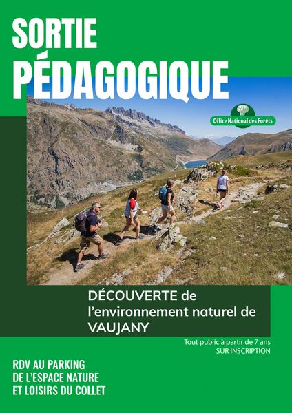 Sortie pédagogique avec l'ONF.