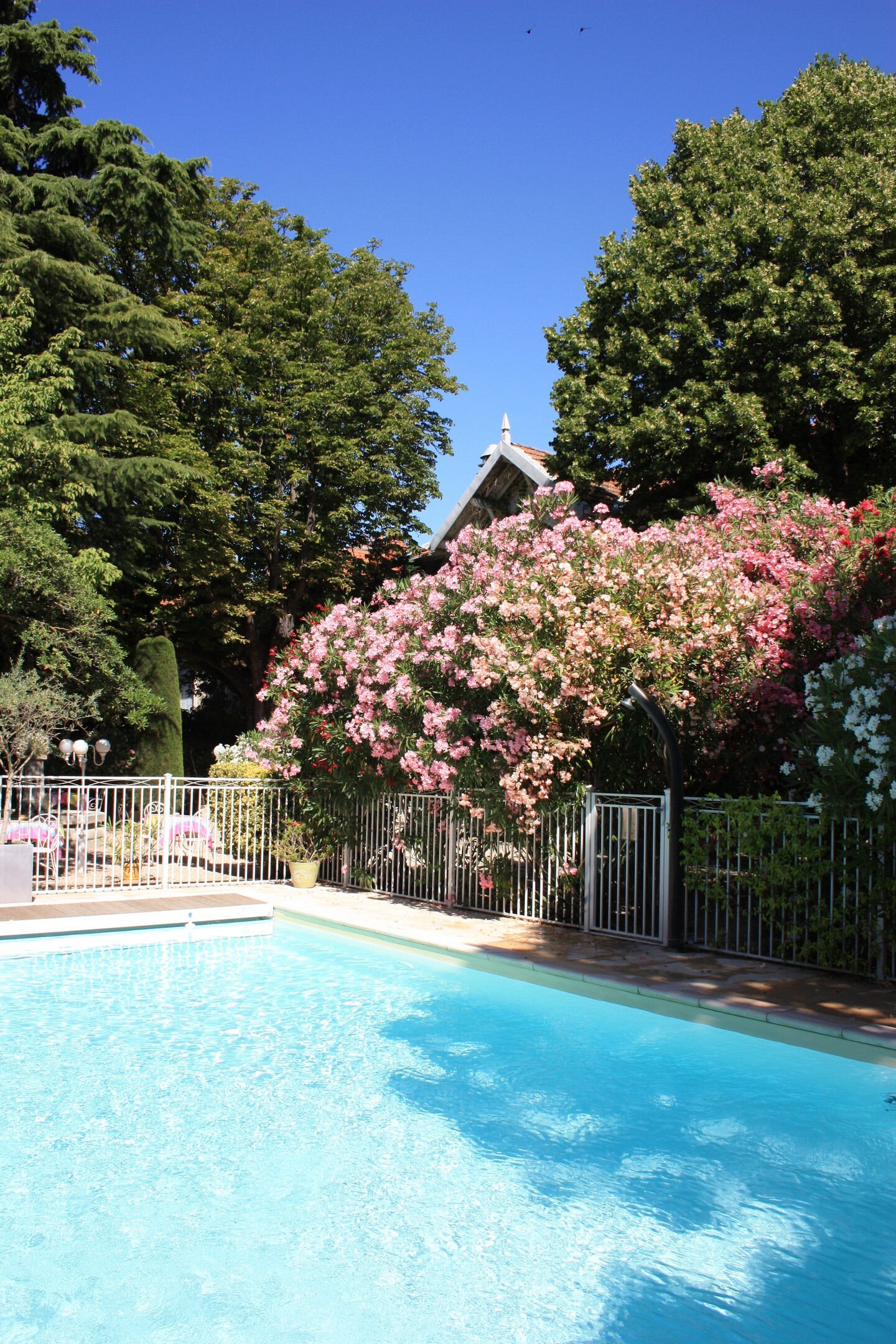 Hôtel le Chalet Fleuri, Saint-Rémy-de-Provence - photo 6