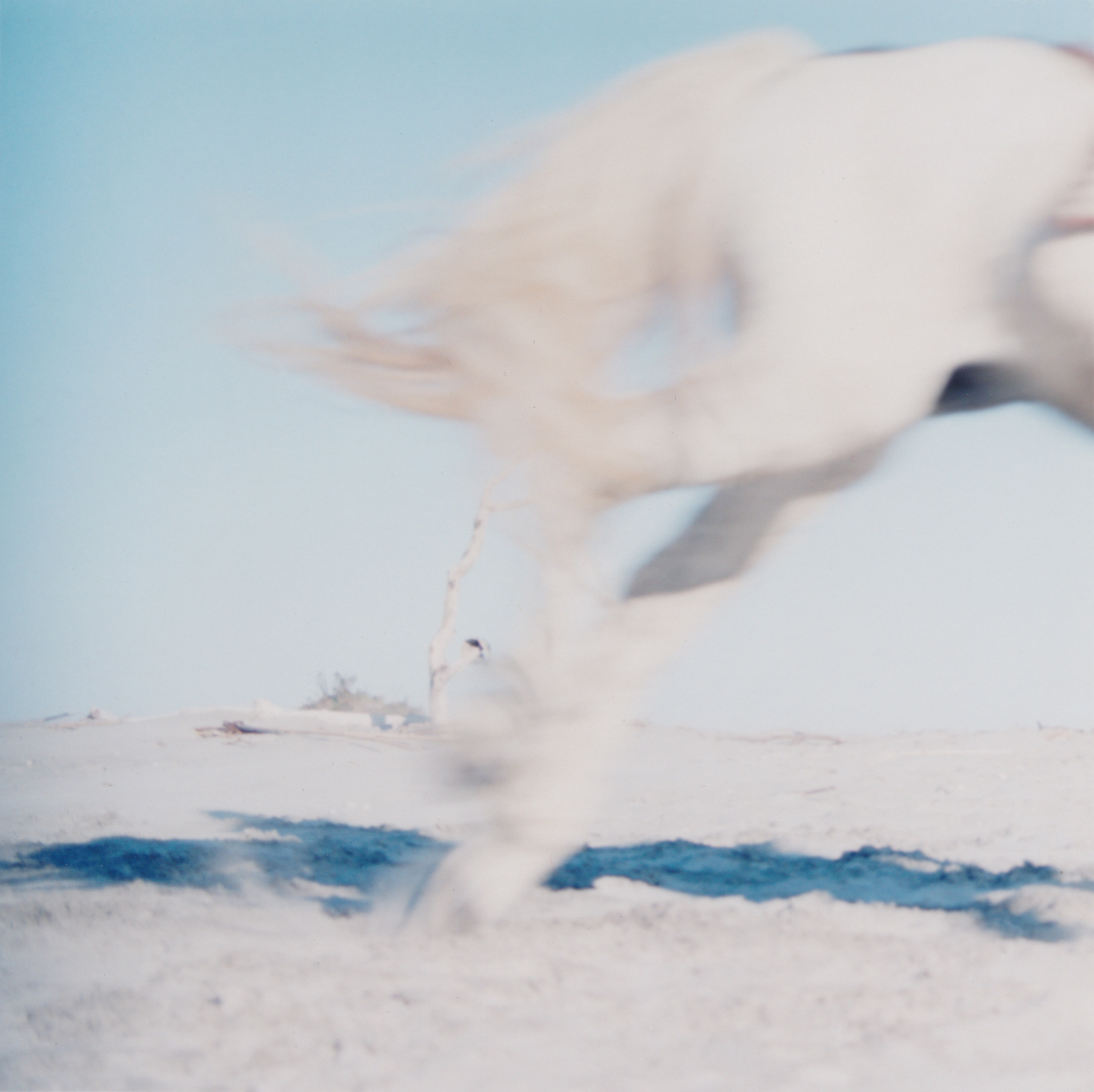 field recordings – enregistrements sur le terrain
