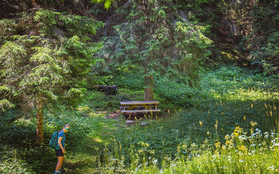 Picnic area at the end of Lac de Flaine