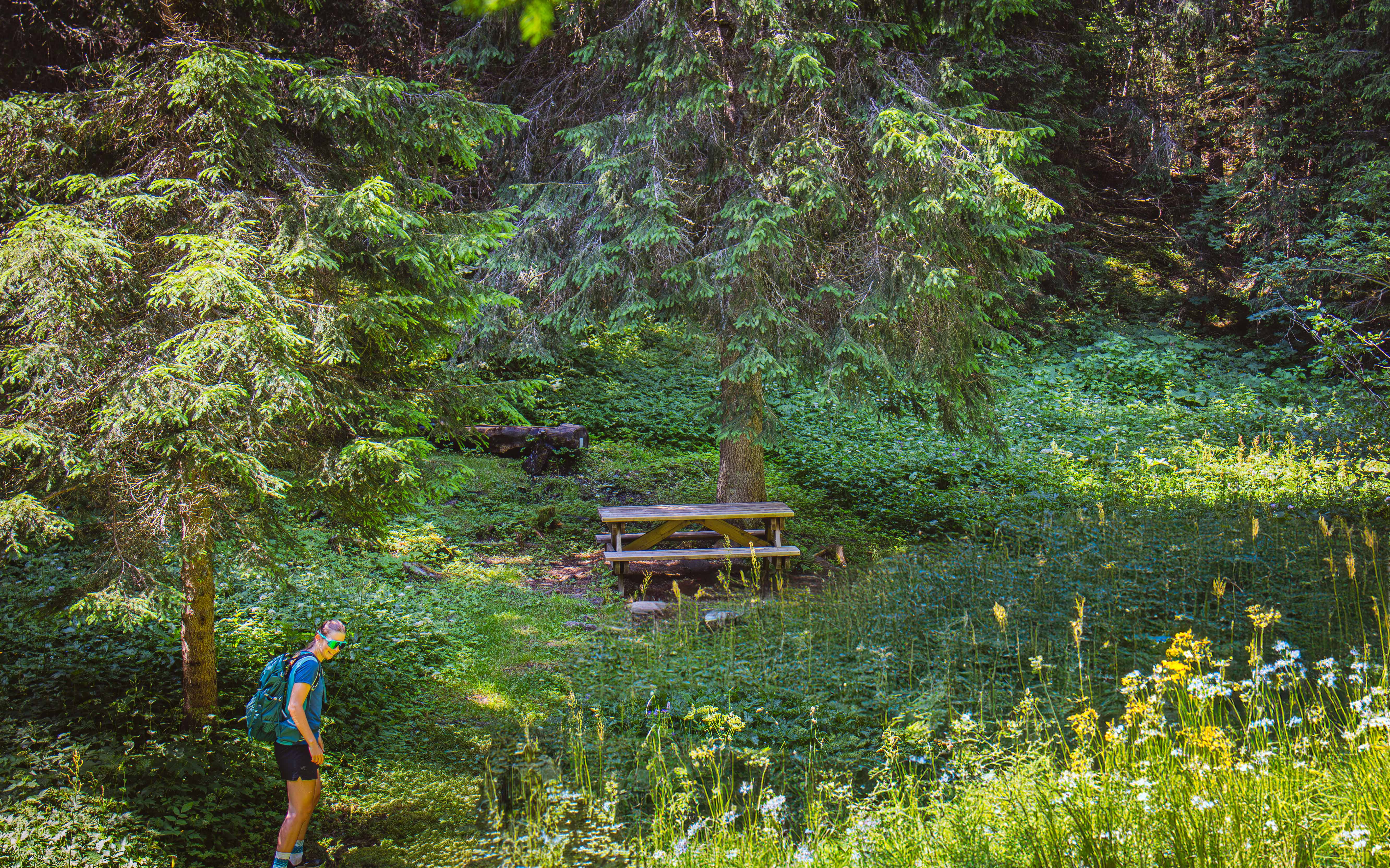 Picnic table in the shade at the end of Lac de Flaine