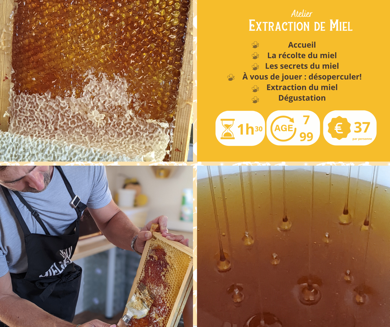 Atelier extraction de miel_Ferme Miélifique_Mornant