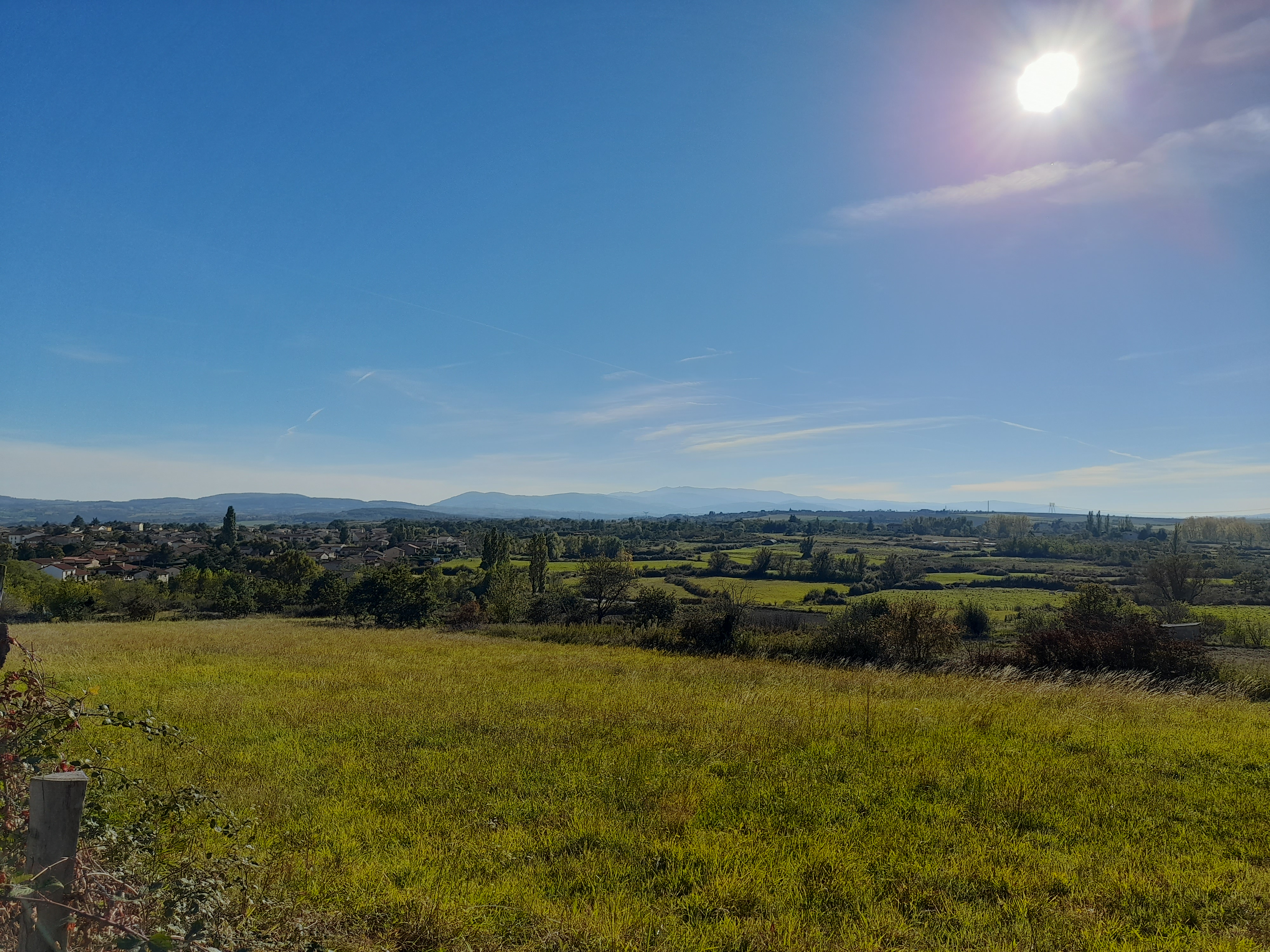 Panorama
