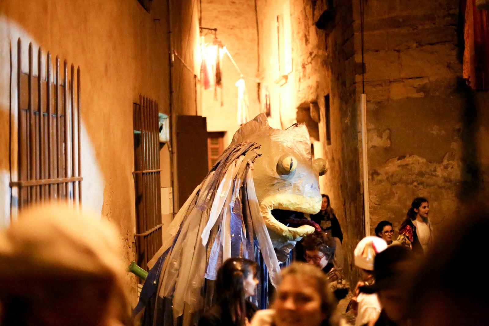 Carnaval de Pélissanne : Charivari nocturne en famille