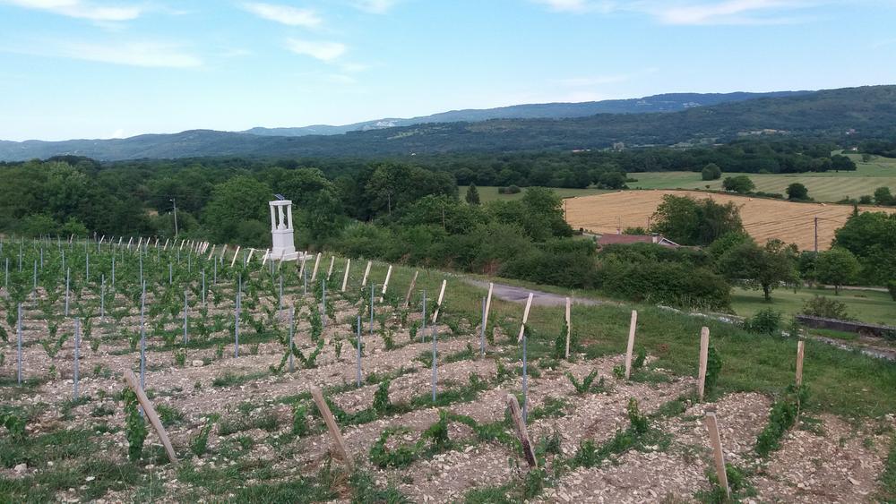 Belvédère du Mont de Rignat - Vignes de Rignat