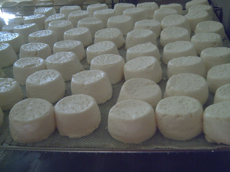 Fromages de chèvres2