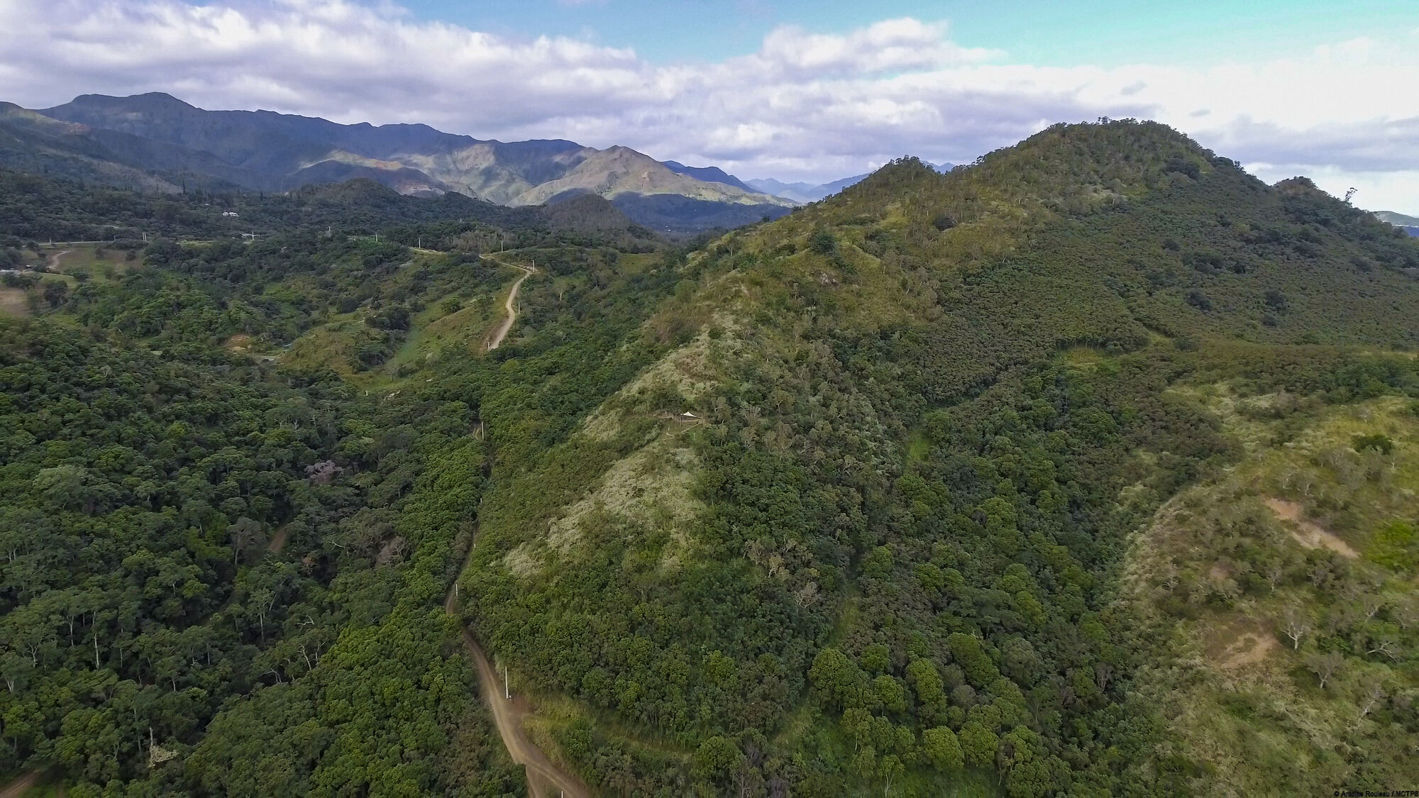 ミュージック fourleaves praivatetour in new caledonia La Belle Verte Canopy Tours (Païta) | New Caledonia Tourism