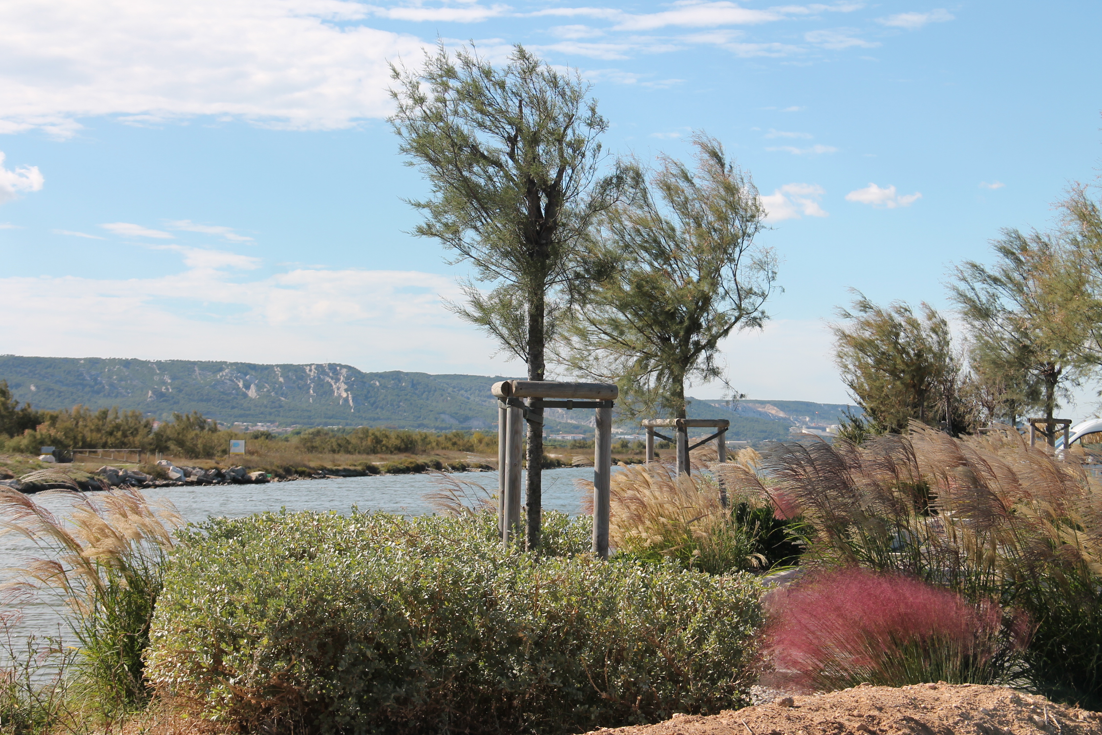 Bouches-du-Rhône en Paysages - Marignane, au fil de l'eau à vélo - photo 5