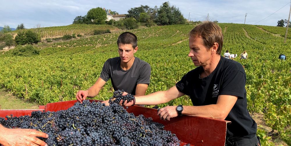 Antoine et Eric Pardon