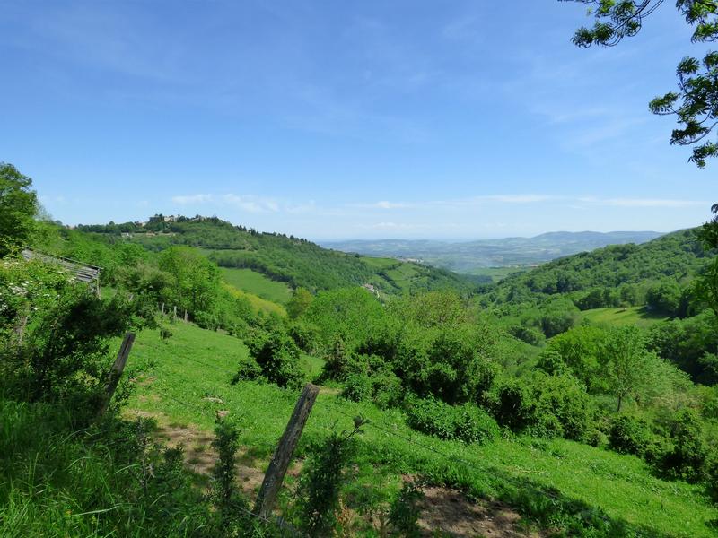 Paysage Paysage