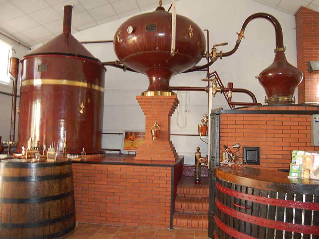 VIsite guidée Domaine Bel Ange