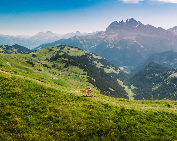 Trail des Hauts Forts 2020