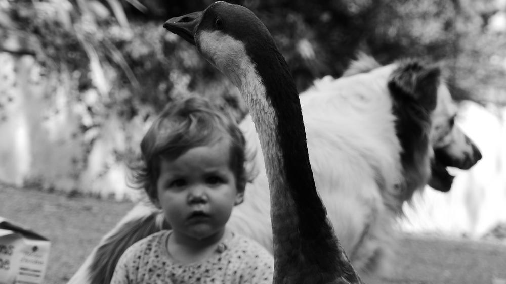 Ferme pédagogique La Bicoque
