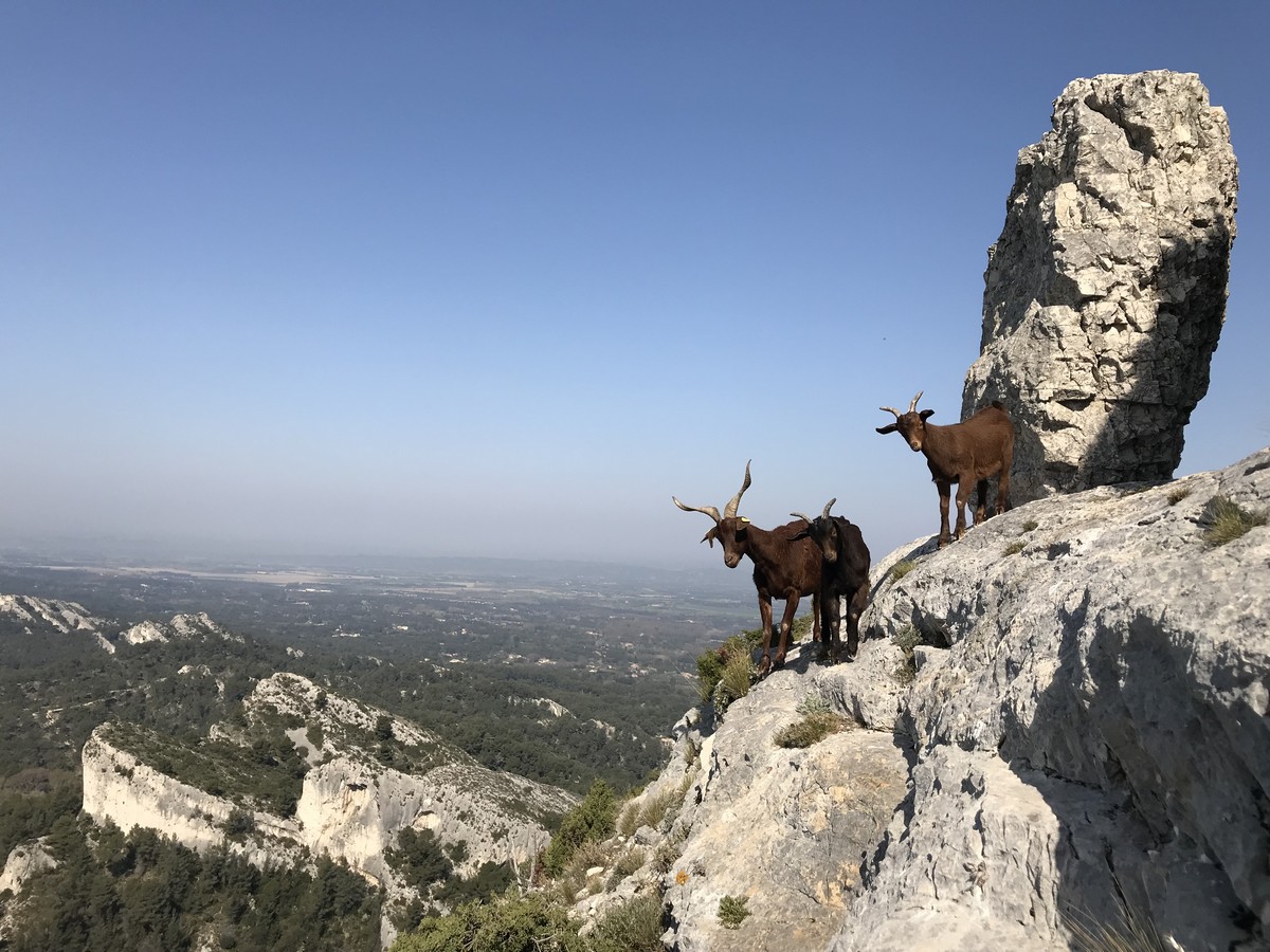 Alpilles Aventure — photo 3