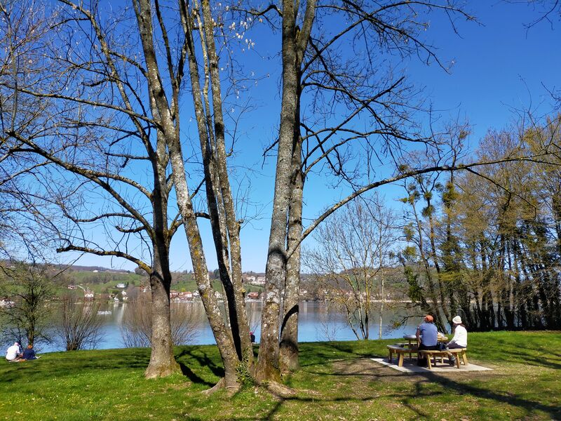 Aire de détente la Véronnière