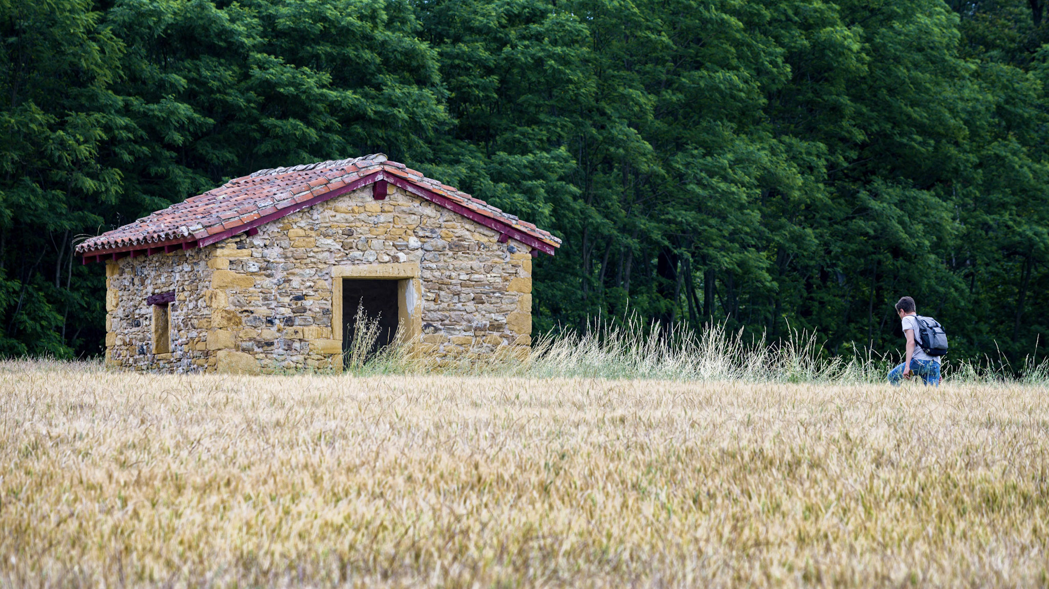 Les Murmures du Temps : circuit