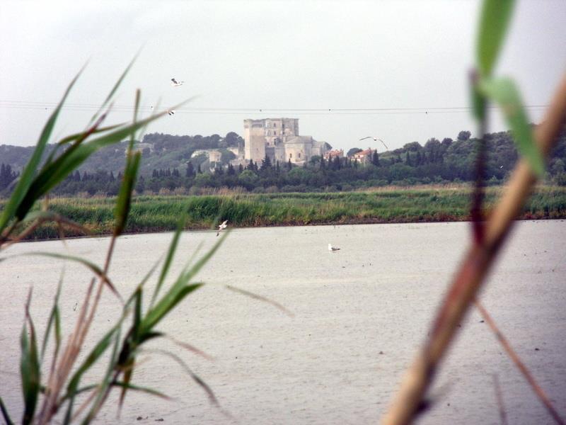 Lavande, Fontvieille - photo 8