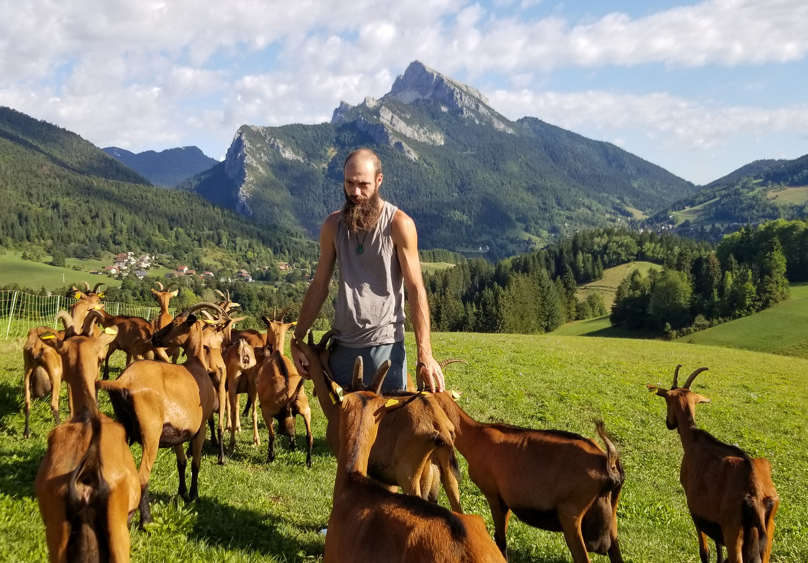 La ferme des petites cornes