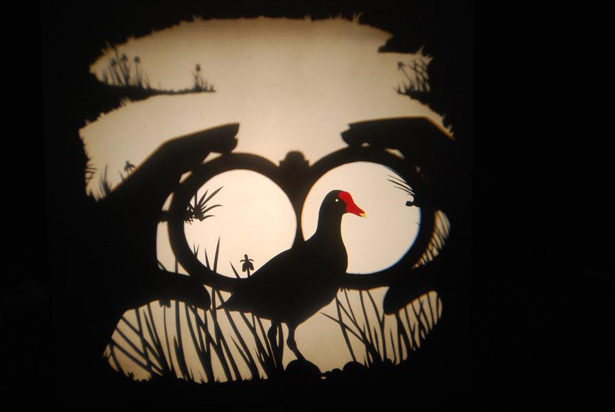 Spectacle : "Volatile ombré"_Auch