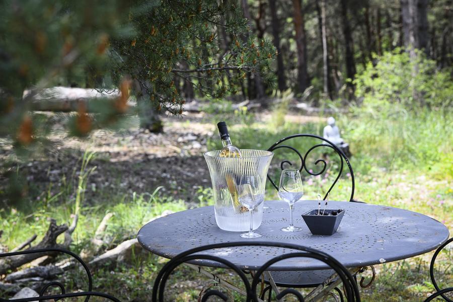 Domaine du val de Sault suite familiale jardin