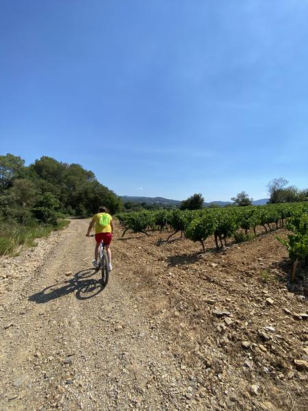 Balade à VTT électrique