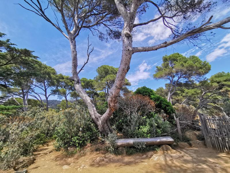 Le Jardin méditerranéen