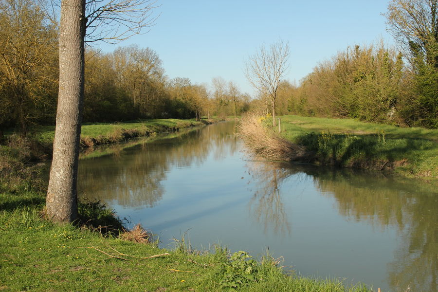 Canal de Charras
