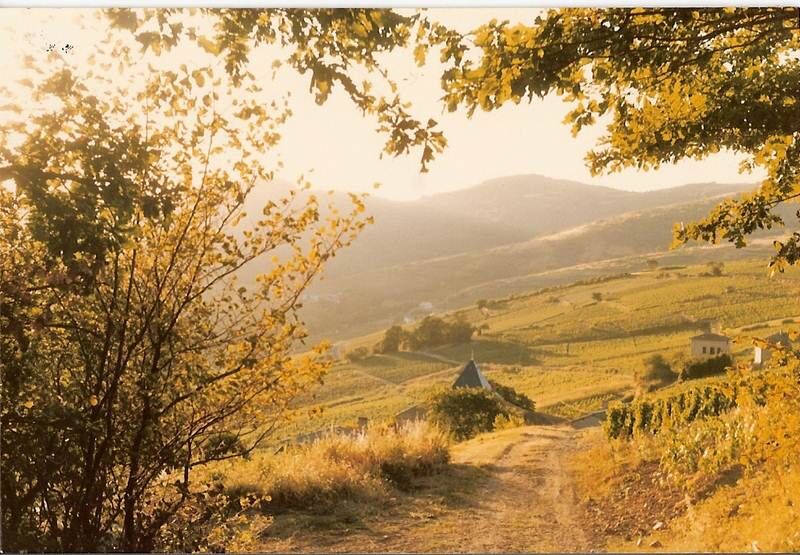 Clos de Haute Combe à Juliénas
