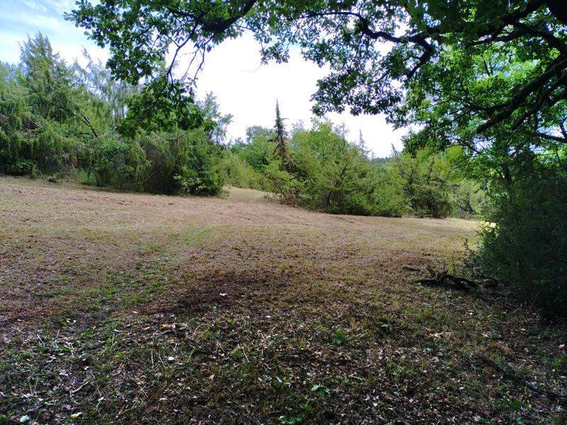 Chantier participatif avec le CEN Nouvelle-Aquitaine