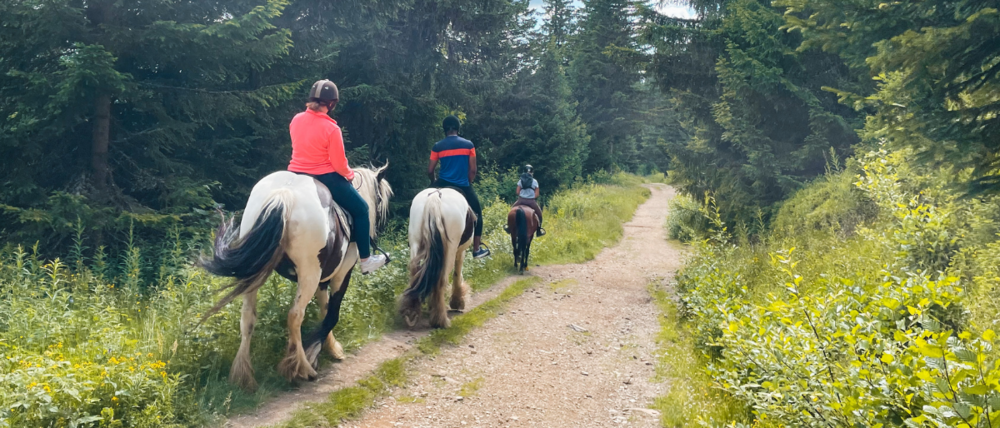 Rando-équestre 4