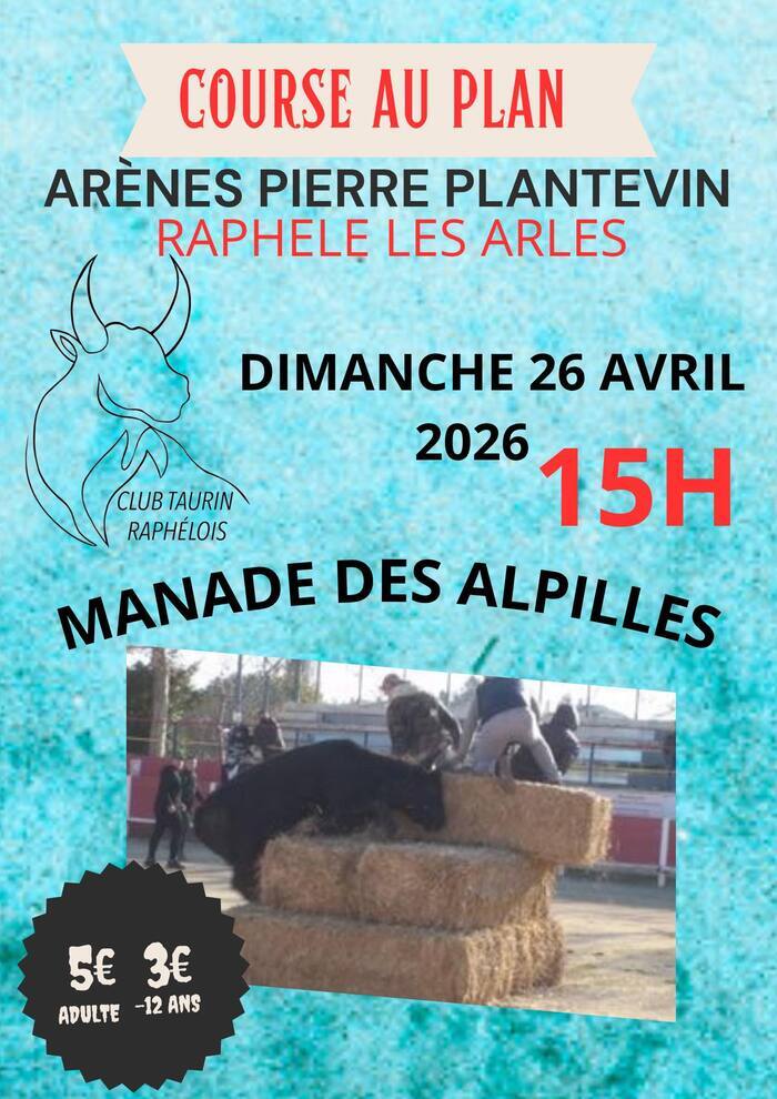 Course au plan à Raphèle-les-Arles