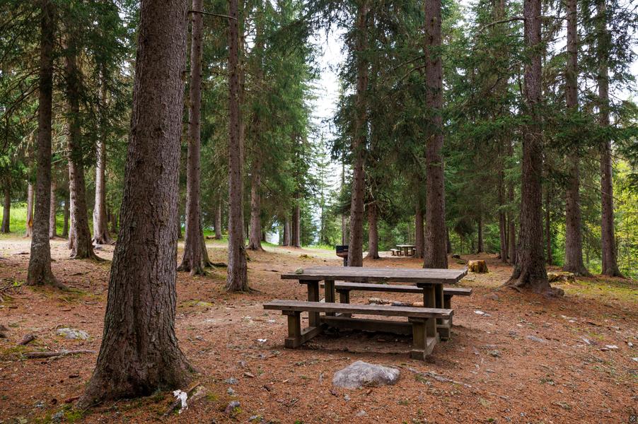 Aire de pique-nique de l'Altiport_Méribel