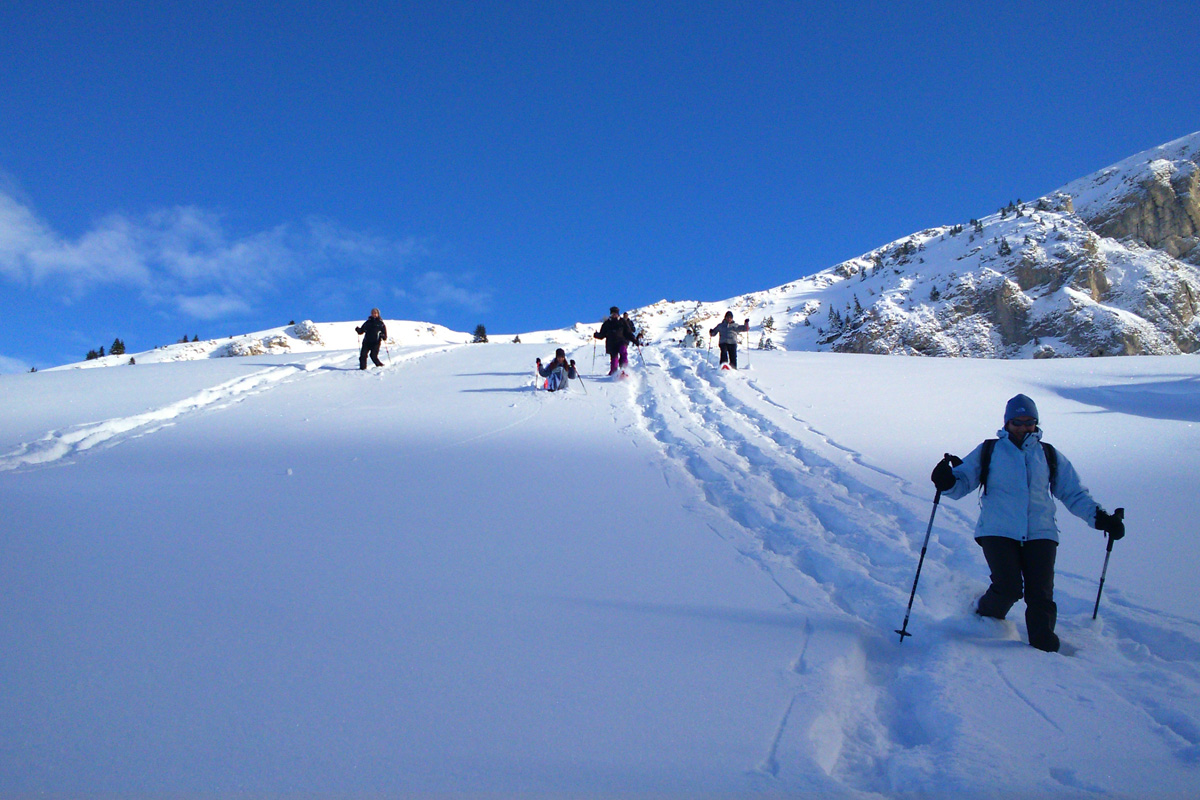 Sorties en raquettes à neige avec Eric Fossard