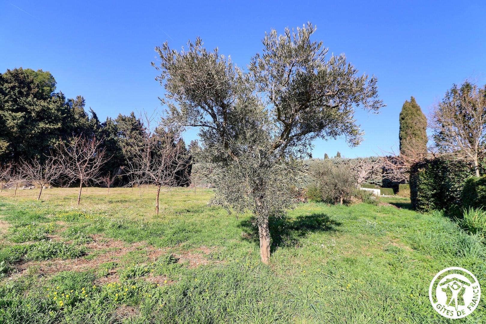La Maison de Famille Provençale, Mouriès - photo 2