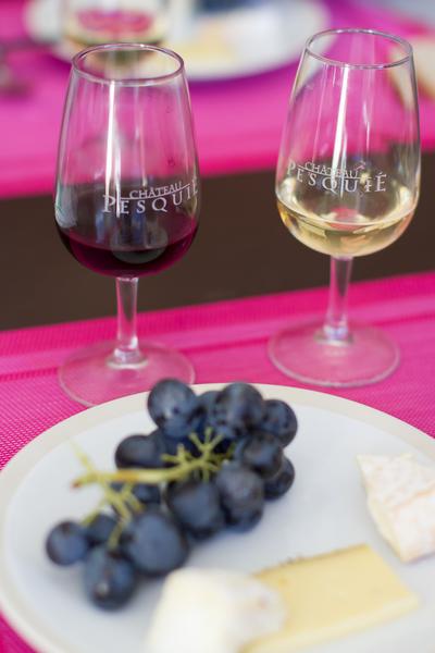dégustation - Chateau Pesquié