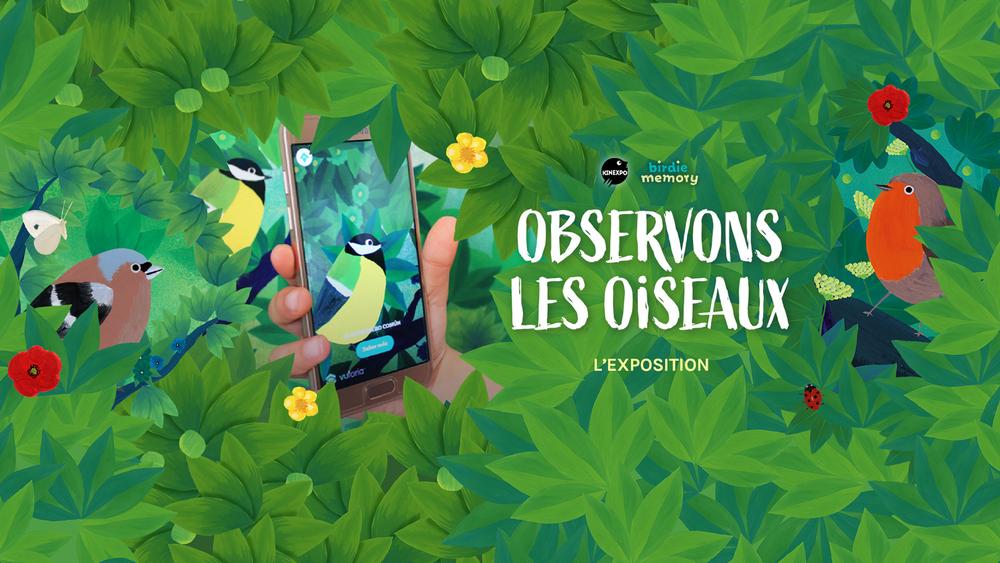 Exposition "Observons les oiseaux"_Toulaud