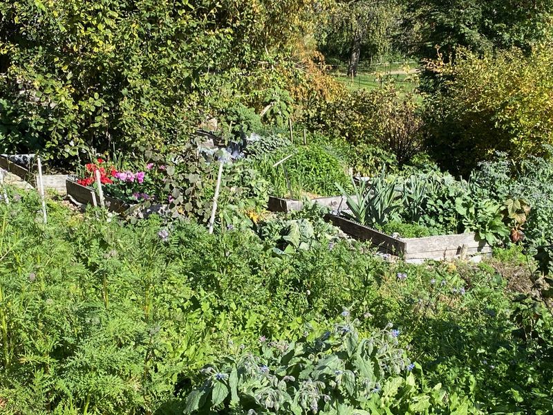 La_Fontaine_d_Argence