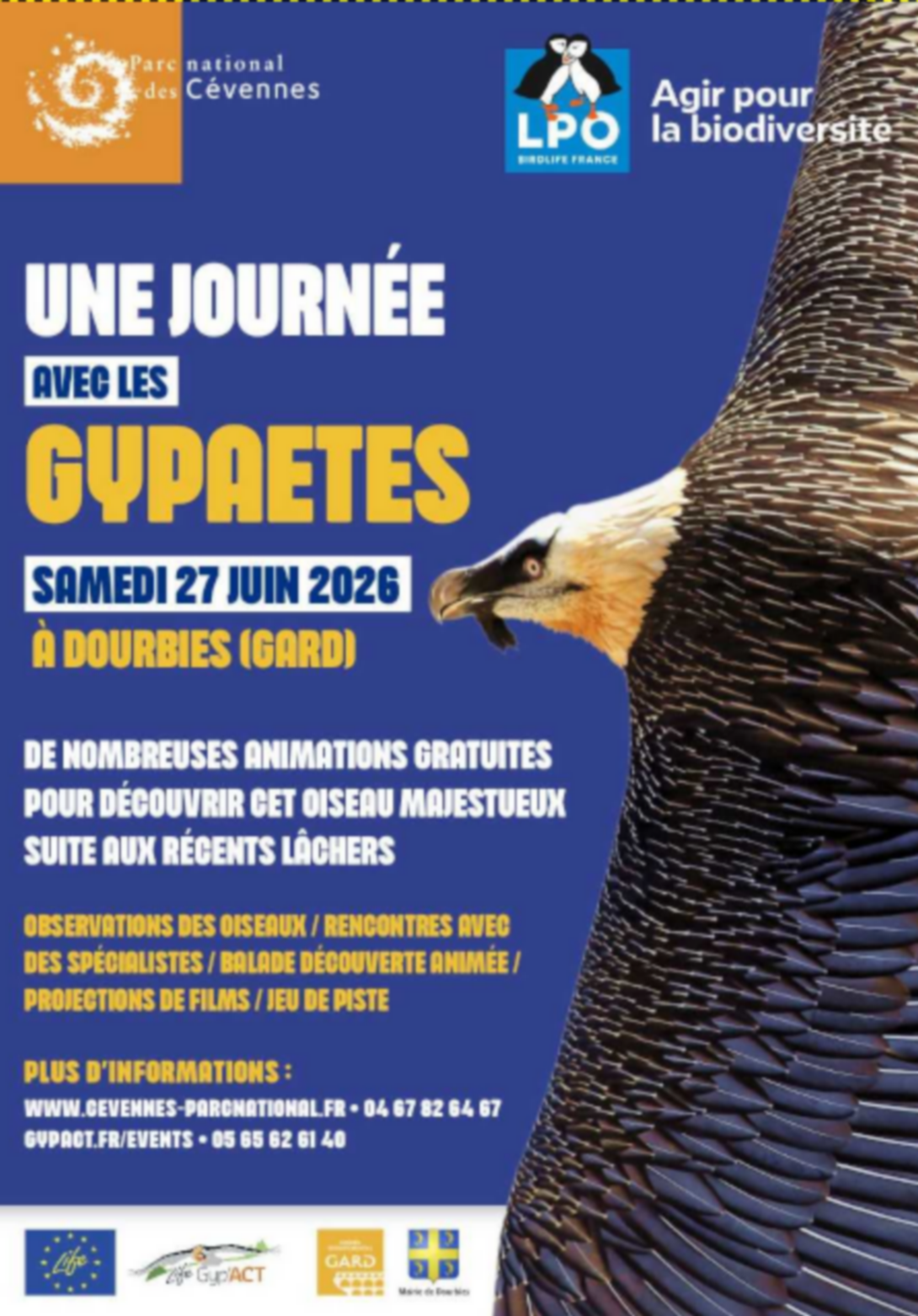 Une Journée avec les Gypaètes_Dourbies