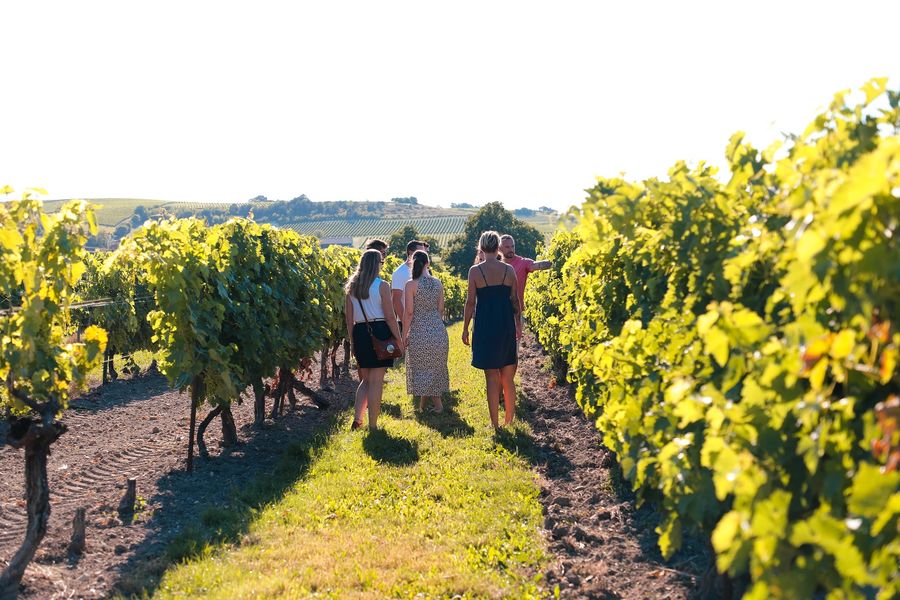 Cognac Courtin : découvrez l’art de la distillation