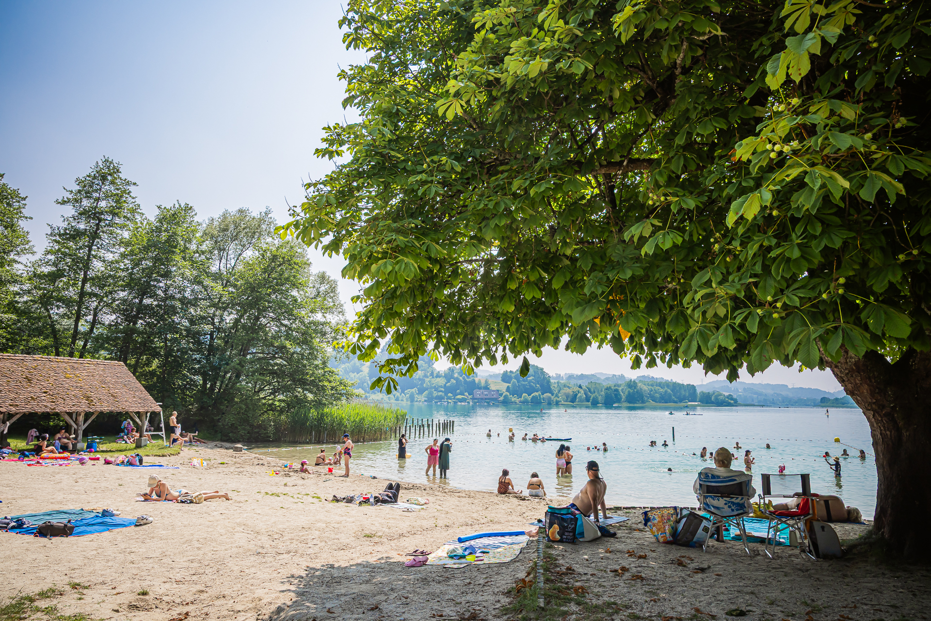 Lac Aiguebelette - Plage