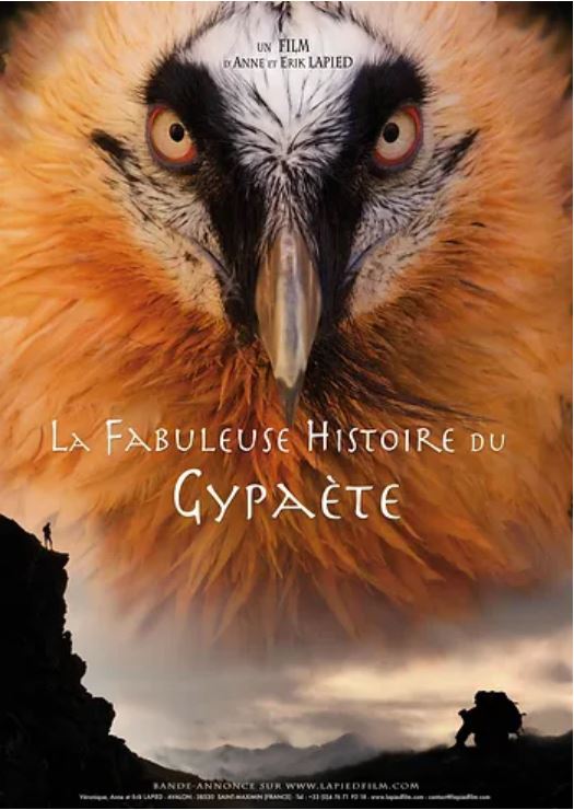 La fabuleuse histoire du Gypaète