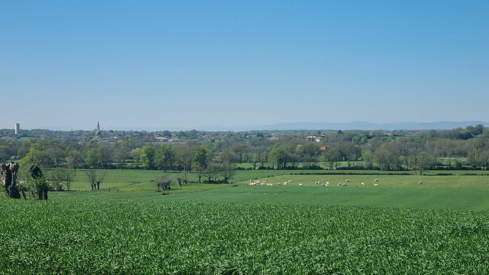 Circuit VTT-VTC n°14 (rouge)_Hauts de la vallée de la Reyssouze