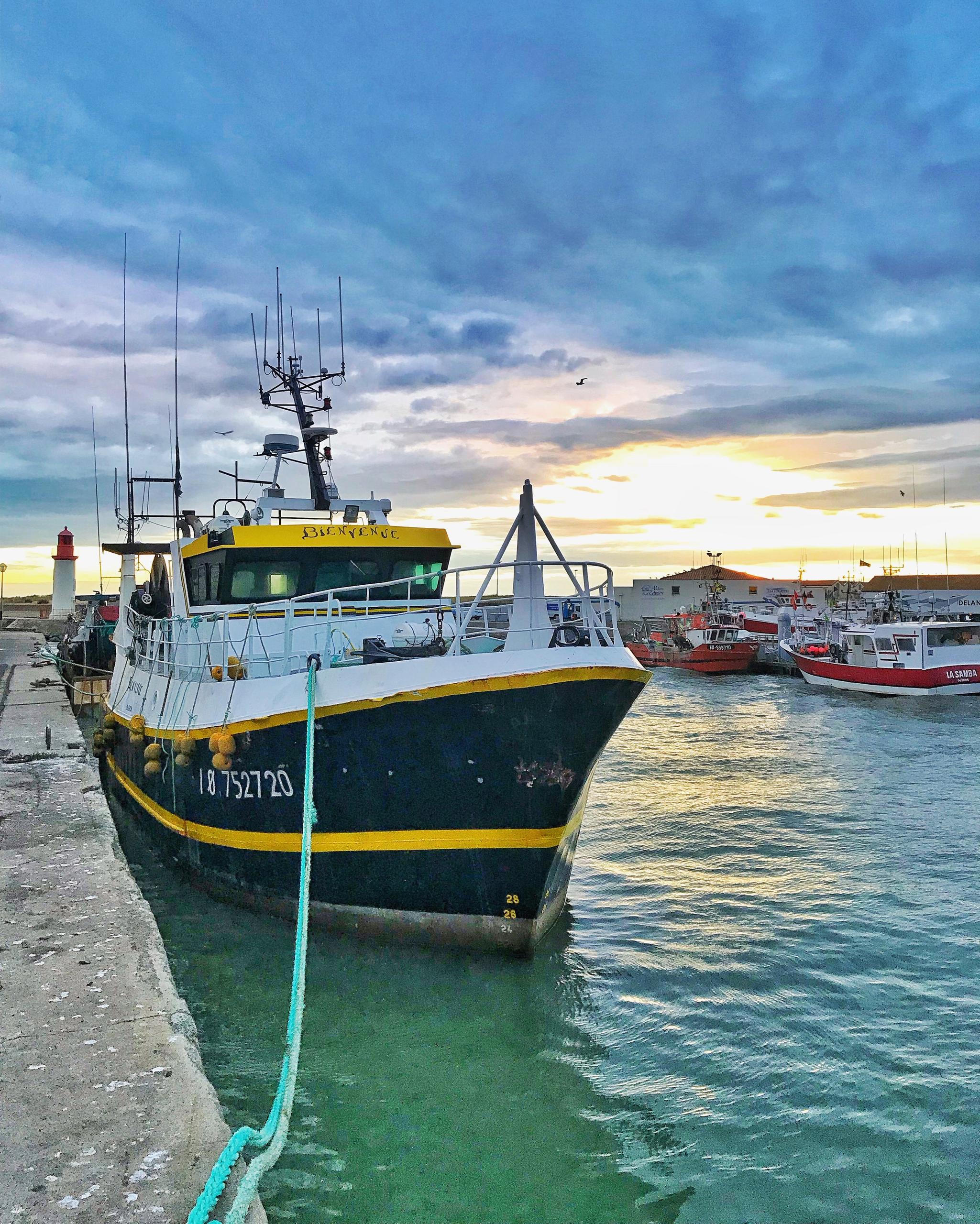 Les coulisses de la criée - Visite matinale