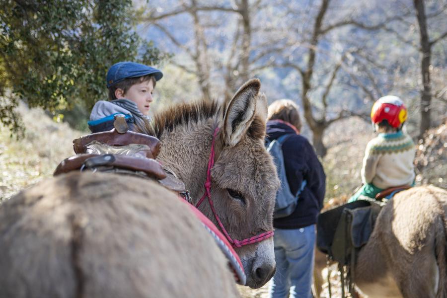 Les balades curieuses