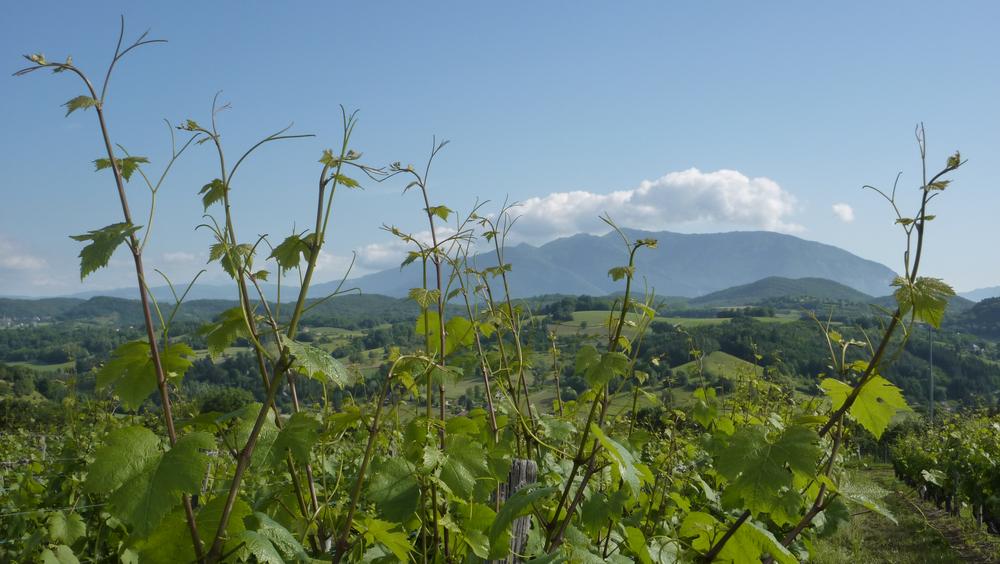 Maison Fusillet à Belley