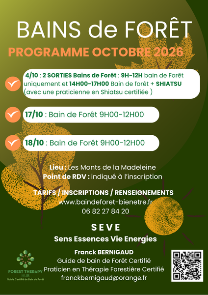 Bain de forêt_Renaison